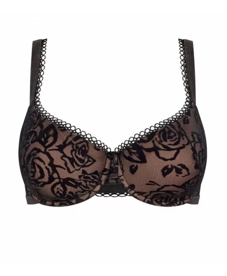 Triumph Velvet Rose Spotlight WHP