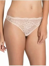 Triumph Dream Spotlight String