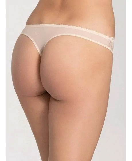 Triumph Dream Spotlight String