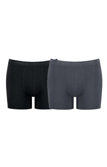 Vyriškų trumpikių duetas Sloggi Men EverNew H Short C2P