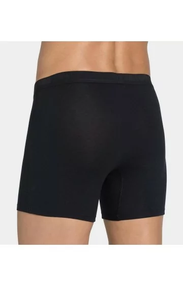 Vyriškų trumpikių duetas Sloggi Men EverNew H Short C2P